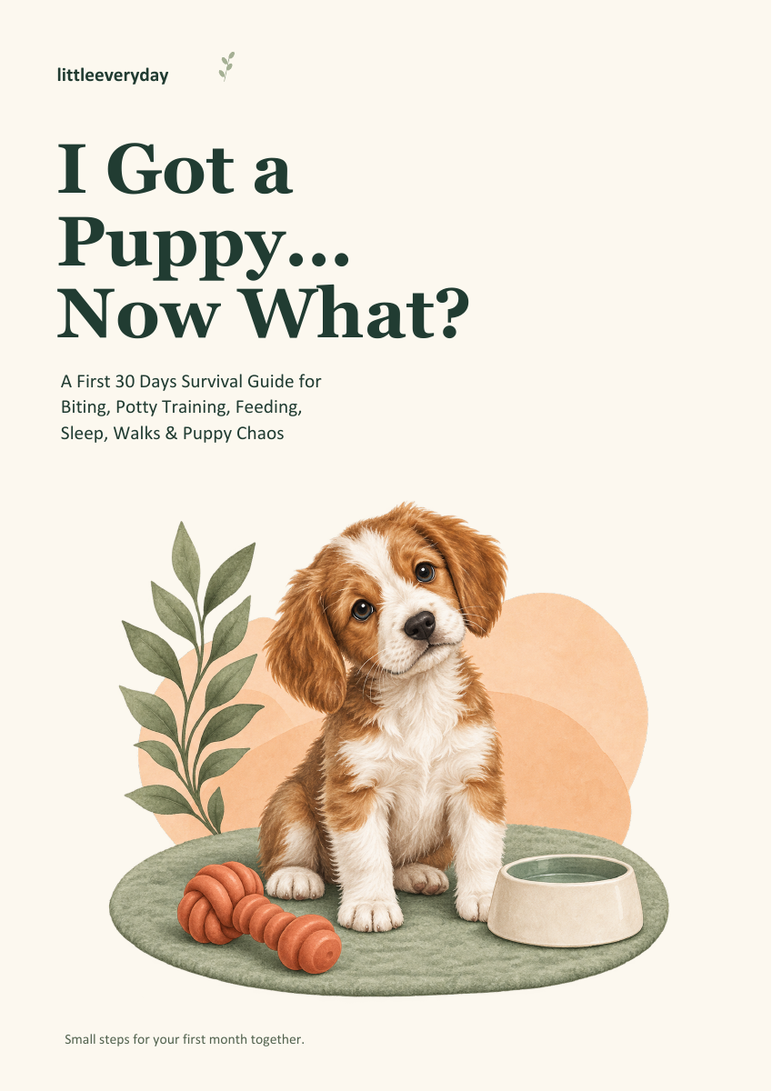 I Got a Puppy… Now What?